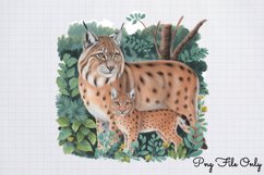 Woodland Animals Clipart Bundle PNG Product Image 4