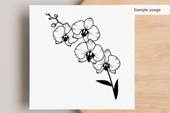 Orchid Flowers SVG Product Image 3