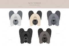 Skye Terrier clipart Product Image 5