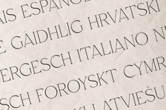 Arcadian Elegant Classic Serif Font Product Image 3