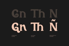 Husr Necian - Bold Serif Typeface Product Image 3