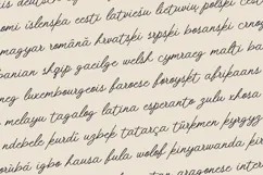 Folke Ornamental Signature Script Font Product Image 3