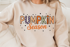 Pumpkin Season Product Image 4