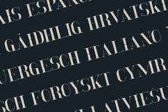 Momentus Modern Editorial Serif Font Product Image 3