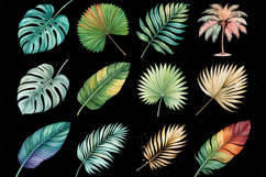 Tropical Leaves PNG, Watercolor Tropical Leaf Clipart Bundle Product Image 3