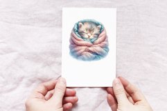 Sleeping Kitten Product Image 3
