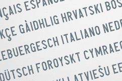 Avocado Bold Vintage Display Sans Font Product Image 3