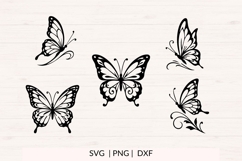 Butterfly SVG Bundle | 10 Elegant Butterfly PNG DXF Files Product Image 3