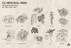 Medicinal herbs Part 2 Svg Png Eps Product Image 3