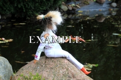 Doll photography scenes autumn unicorn room set of 12 JPG Product Image 3