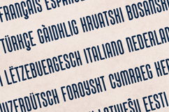 That Appeal Bold Condensed Display Font Product Image 3