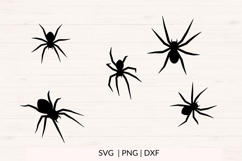 Spider SVG Bundle - Halloween Spider Clipart Product Image 3