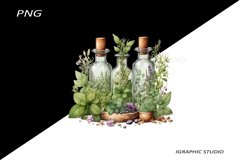 Watercolor bottle and herbs clipart Product Image 1