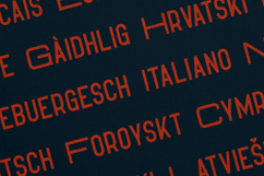 Hippo Bold Rough Sans Serif Font Product Image 3