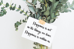 Standy Product Image 3