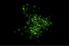 Neon Spray Product Image 3
