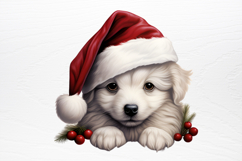 Christmas Peeking Dogs Clipart PNG Product Image 3