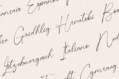 Obsidian Elegant Script Font Product Image 3