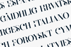 Defect Distressed Vintage Serif Font Product Image 3