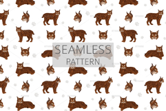 European wild cats clipart Product Image 8