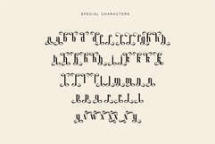 Soulmate Vasque Elegant Serif Font High Contrast Product Image 3