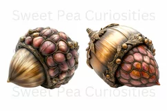 Fall Autumn, Acorns, Halloween, Ephemera, PNG, Clipart Product Image 3