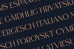 Regal Serif Elegant Modern Display Typeface Product Image 3