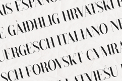 Black Goose Rounded Serif Font Product Image 3