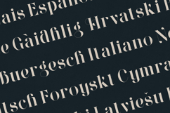 Wonderz Modern Editorial Serif Font Product Image 3