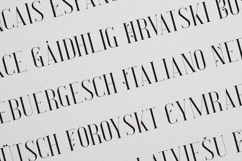 Desire Elegant Botanical Serif Font Product Image 3