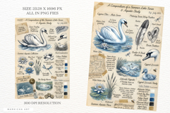 Summer Lake Swan Junk Journal Pages Product Image 3