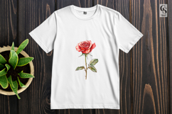 Watercolor Rose Clipart Sublimation PNG Product Image 2