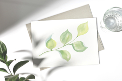Birthday Watercolor Clipart Balloons PNG Product Image 3
