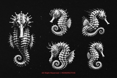 10 Bundle Dark Art Seahorse Sea Animal Creature Gothic Product Image 5