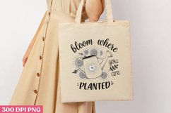 Bloom Where You Are Planted PNG, Hello Spring Sublimation PN Product Image 3