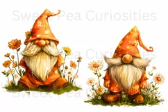 Gnome, Flowers, Fall, Spring, PNG, Clipart, Orange, Clipart Product Image 3