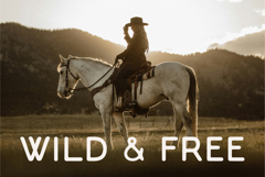 Wild Dust Product Image 2