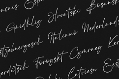 Snarf Signature Script Elegant Handwritten Product Image 3