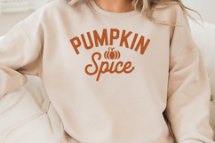Pumpkin Spice Product Image 3