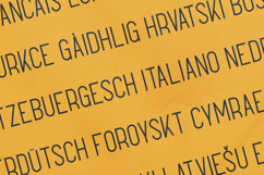 Sunflower Warm Minimal Display Sans Serif Font Product Image 3