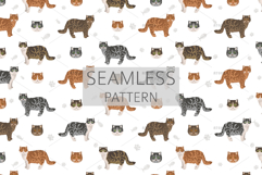 Scottish Straight Cat clipart Product Image 11