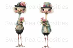 Birds, Ostrich, Ephemera, PNG, watercolor, Clipart Product Image 3