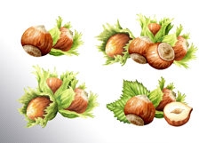 Huzelnuts. Hand drawn watercolor collection Product Image 4