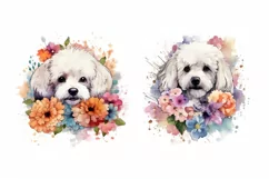Cute bichon Watercolor cliparts | Cute dogs Illustrations Product Image 3