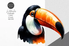 Toucan clipart, Bird clipart, Tropic clipart Product Image 1