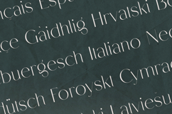 Rabble Delicate Elegant Serif Font Product Image 2