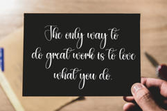 Monstera Product Image 3