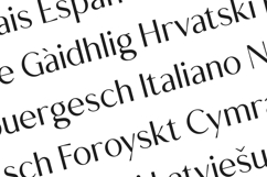Creators Type Elegant Modern Serif Display Font Product Image 3