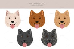 Kintamani Bali dog clipart Product Image 5
