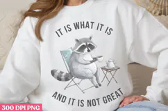 It is what it is and it PNG, Funny Raccoon Sublimation PNG Product Image 3
